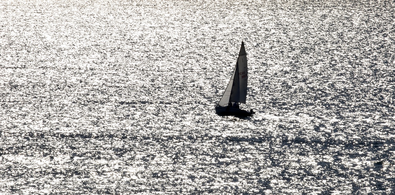 sailing boat  water  boat free photo