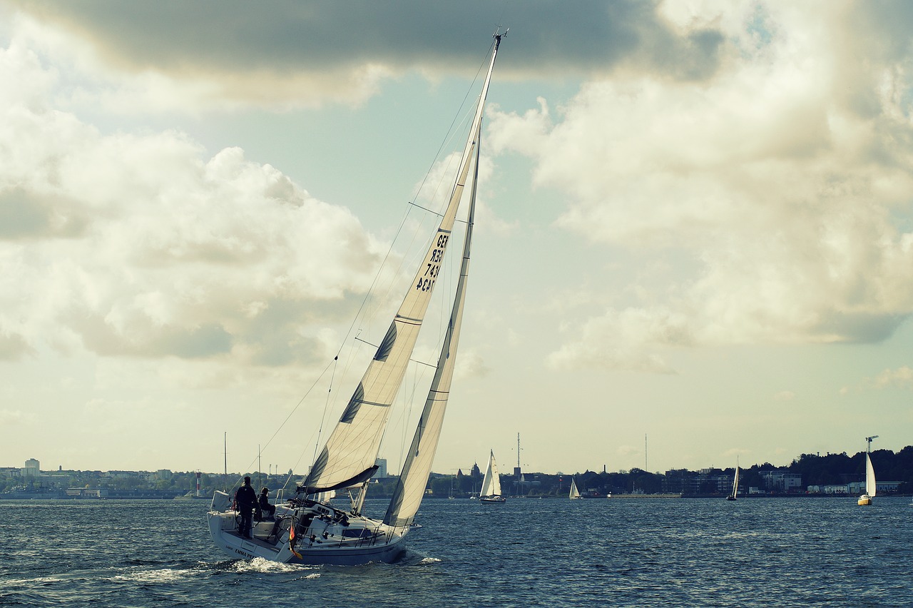 sailing boat  sail  boat free photo