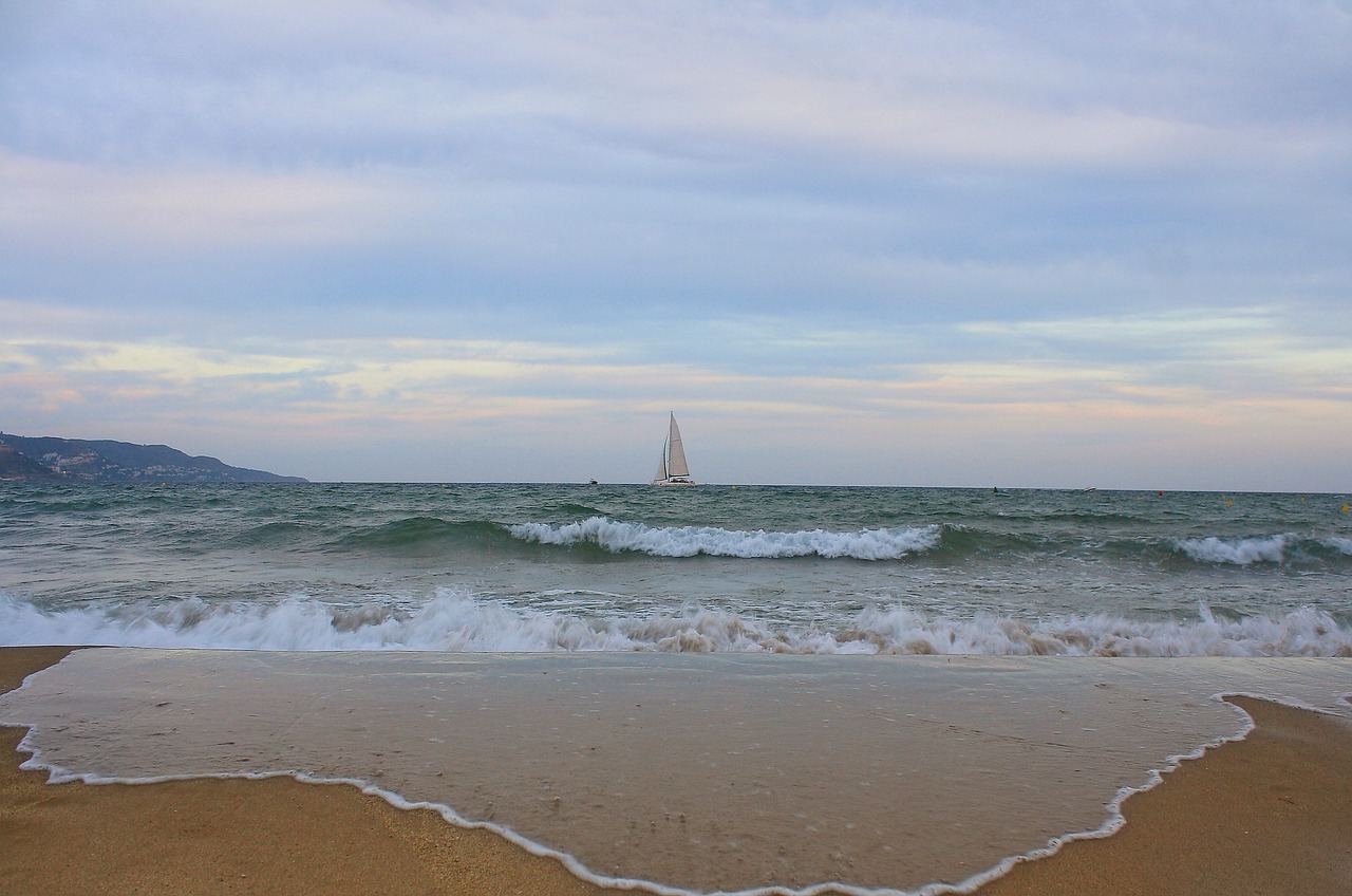 sailing boat  sea  beach free photo