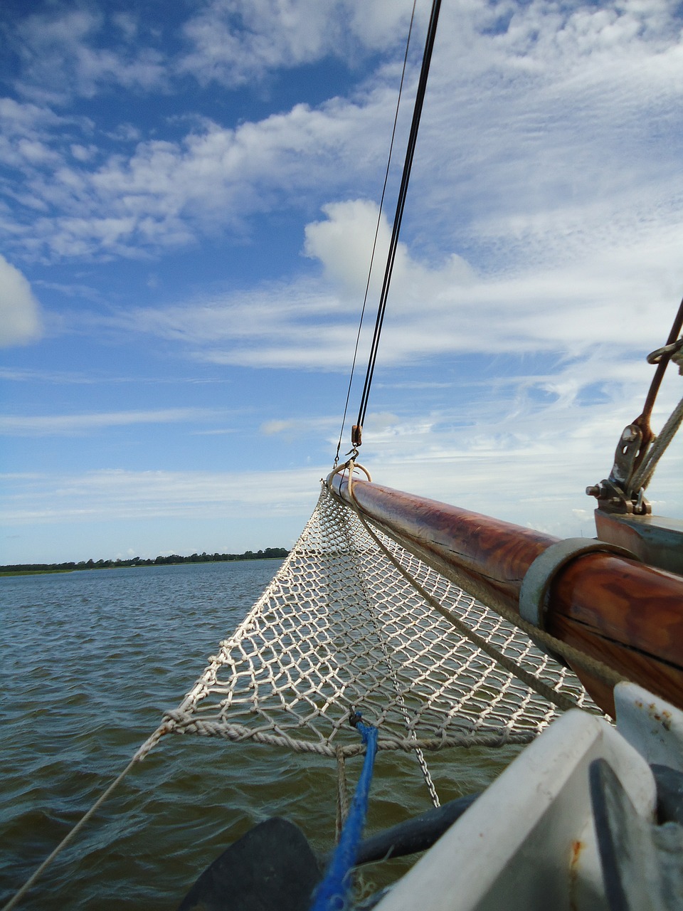 sailing boat bug sail free photo