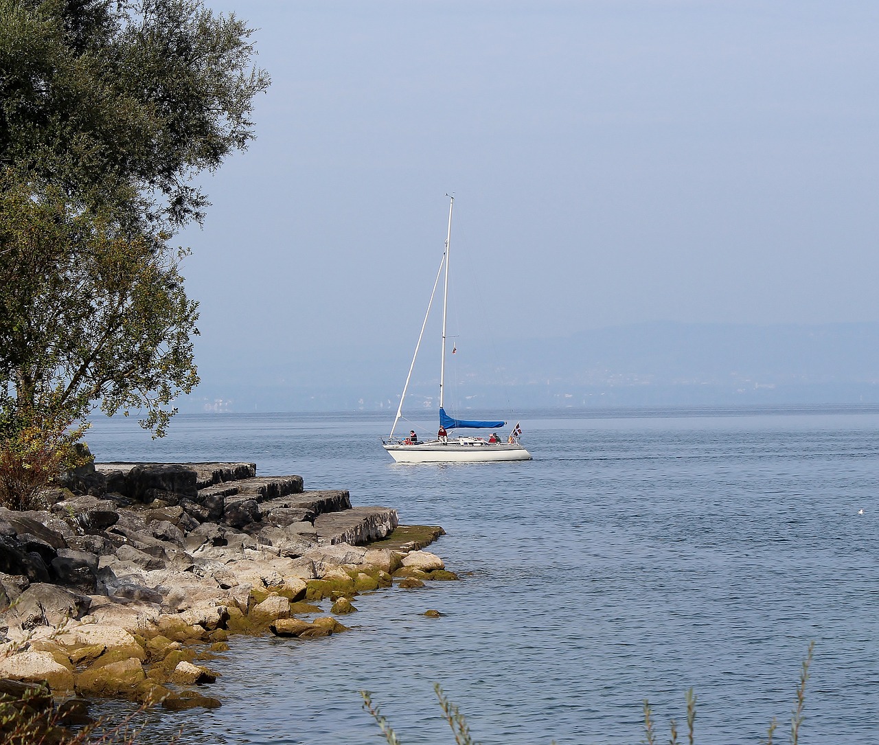 sailing boat boot lake constance free photo