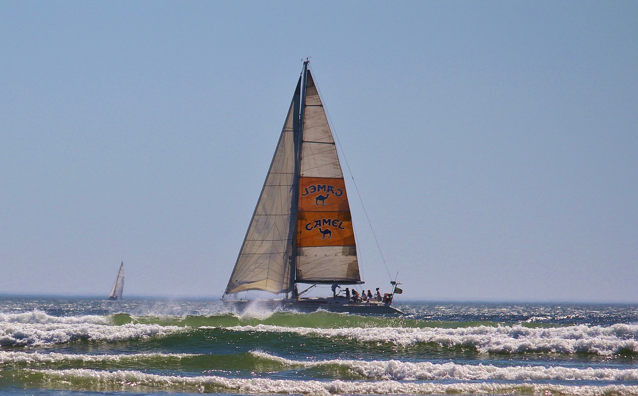 sailing boat sea ocean free photo