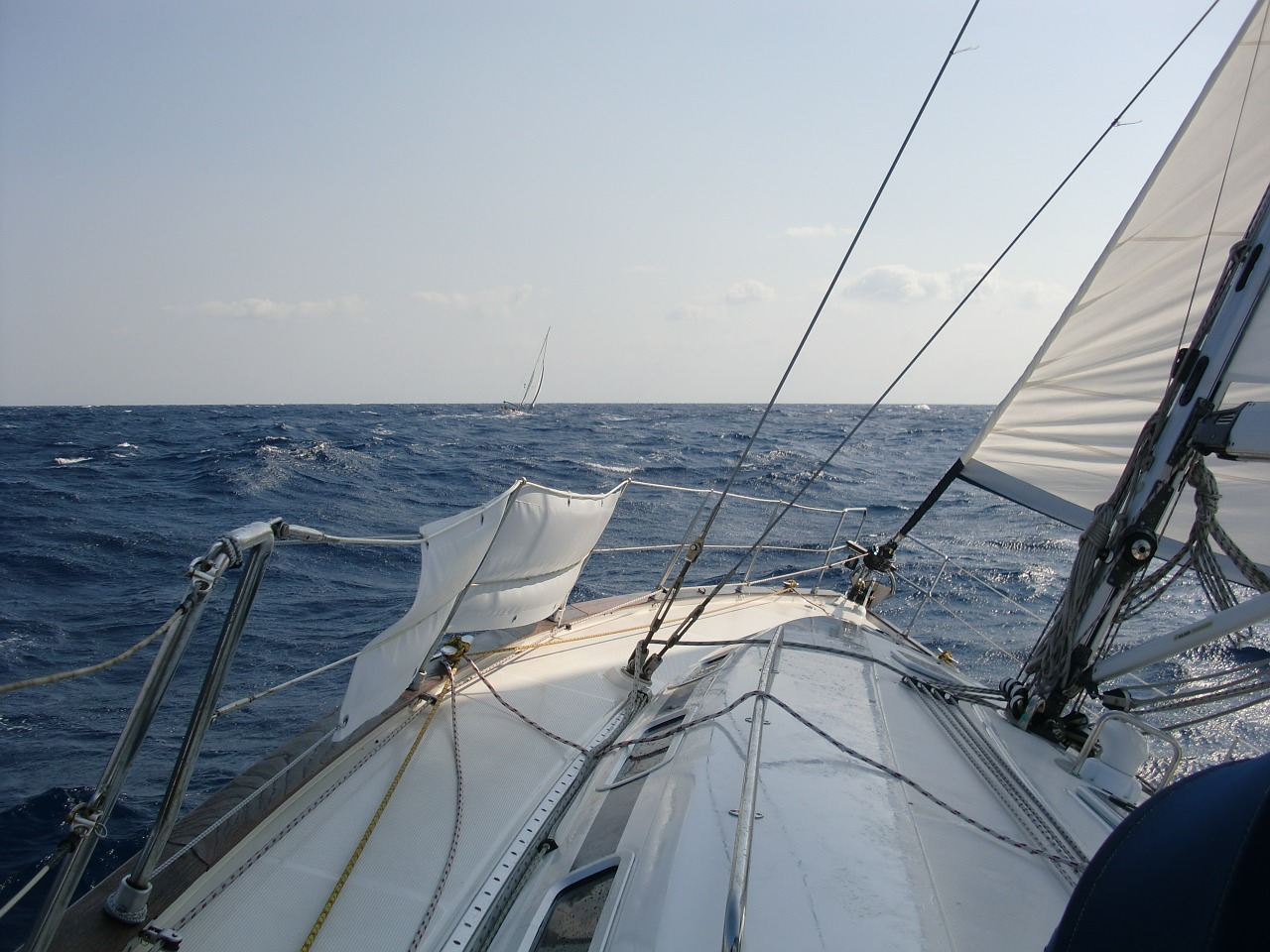 sailing boat sea wind free photo