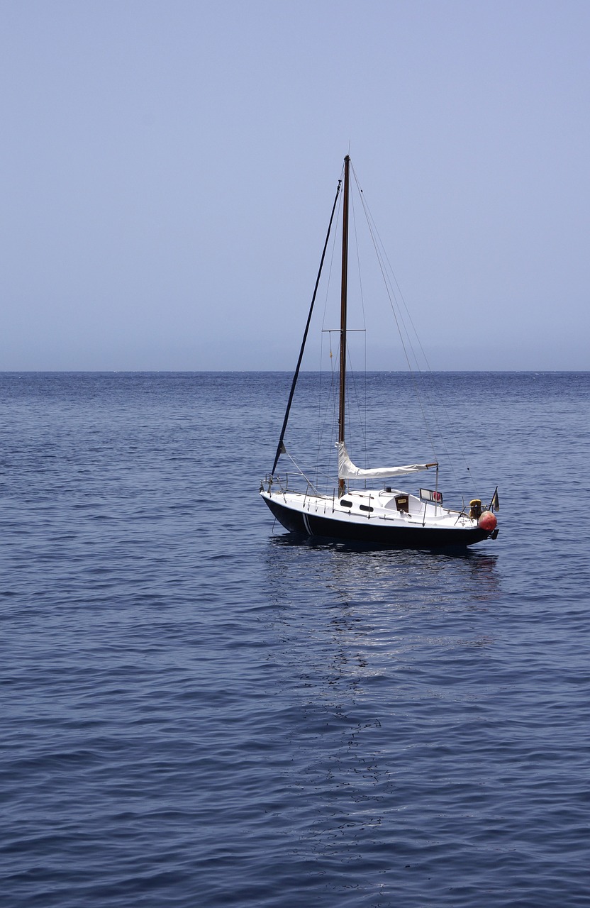 sailing boat fishing boat boats free photo