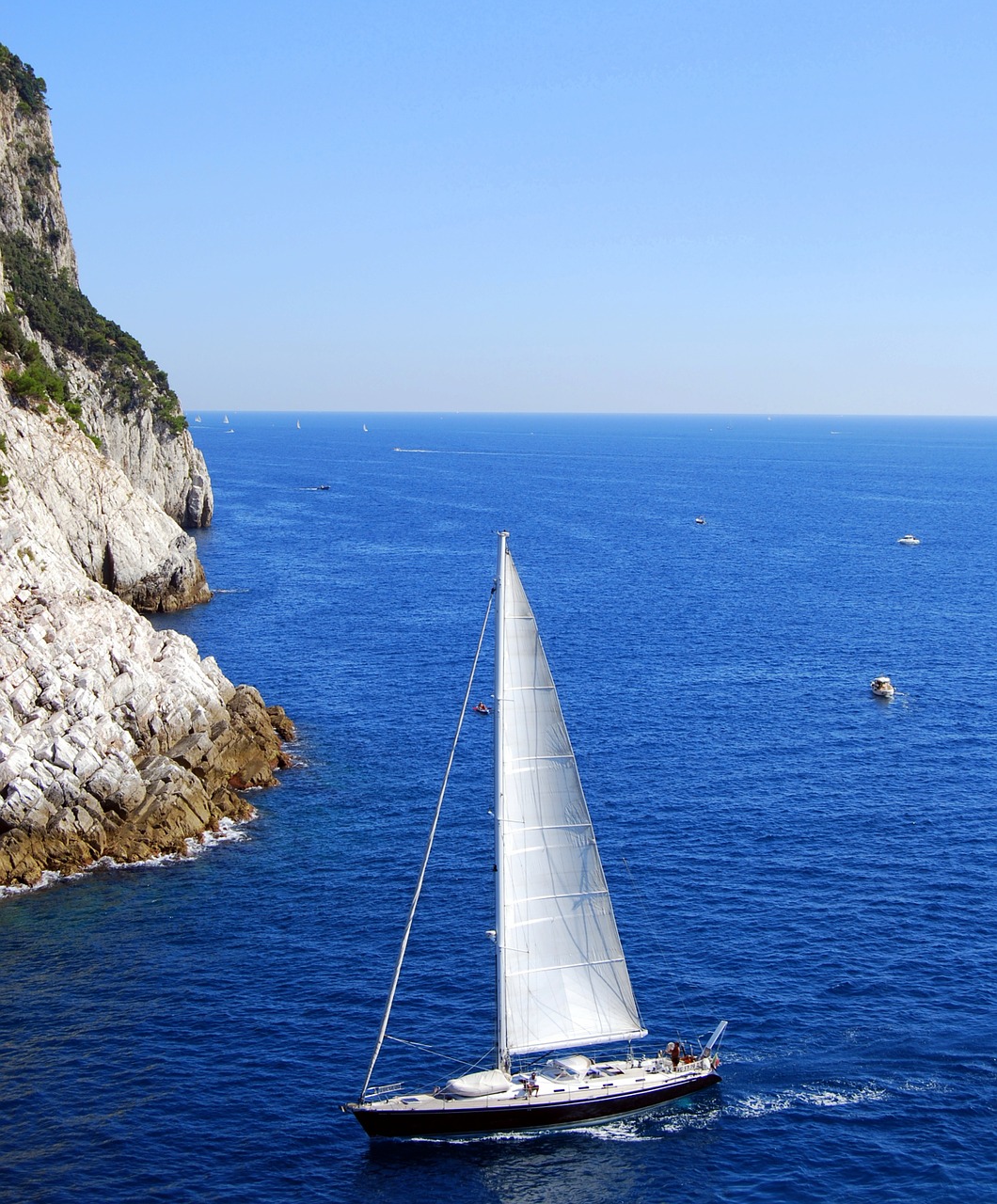 sailing boat boat sea free photo