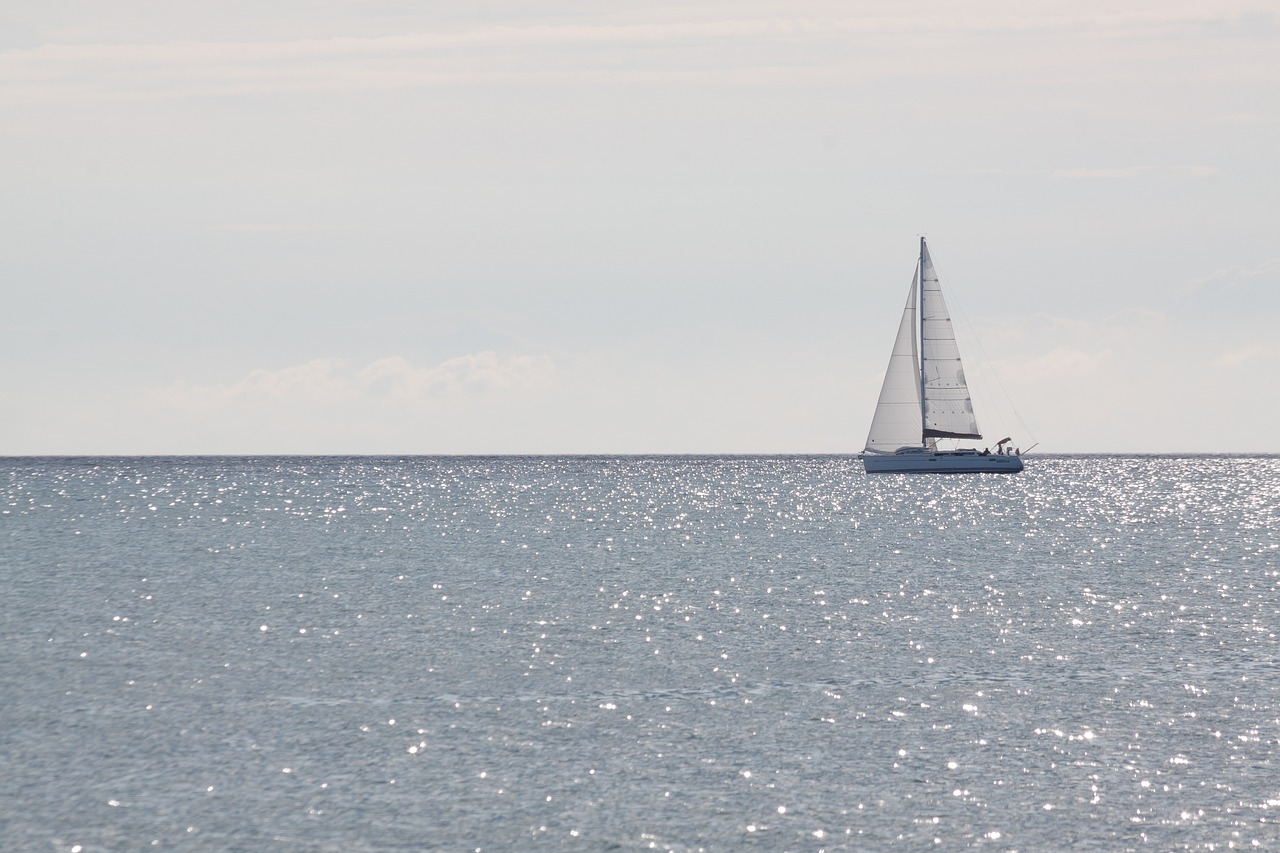 sailing boat sea sail free photo