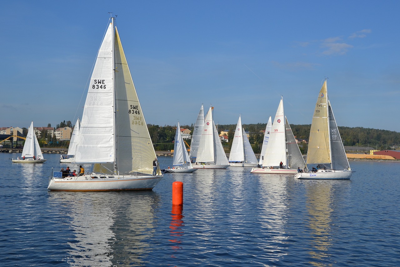 sailing boats sailing race sweden free photo