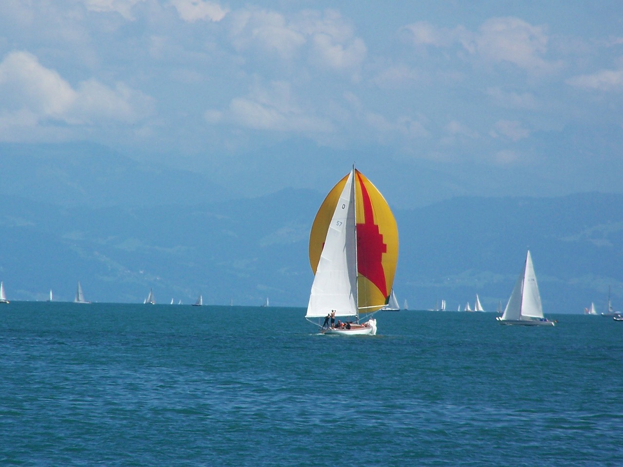 sailing boats sport water free photo