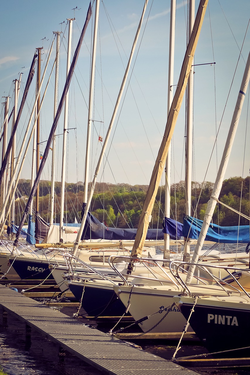 sailing boats web yacht free photo