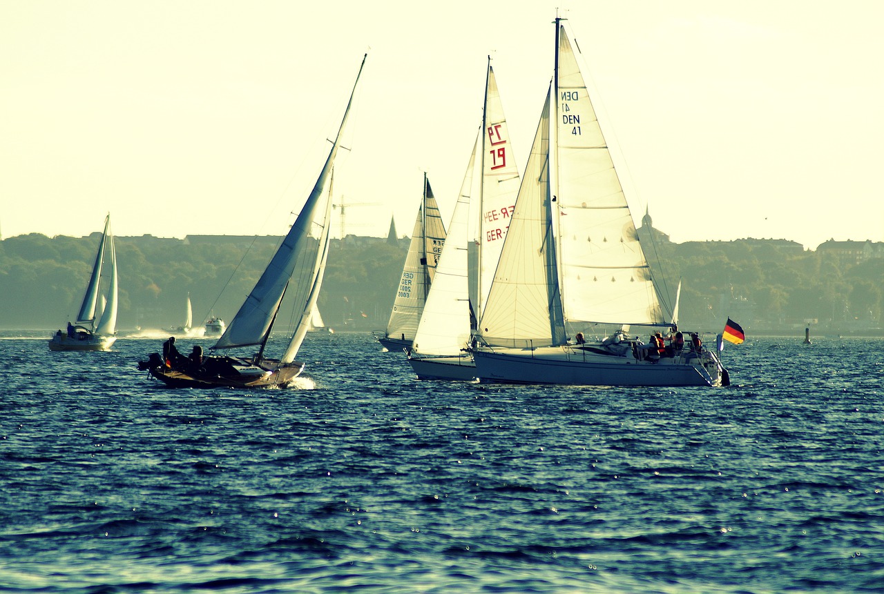 sailing boats  water  kieler firth free photo