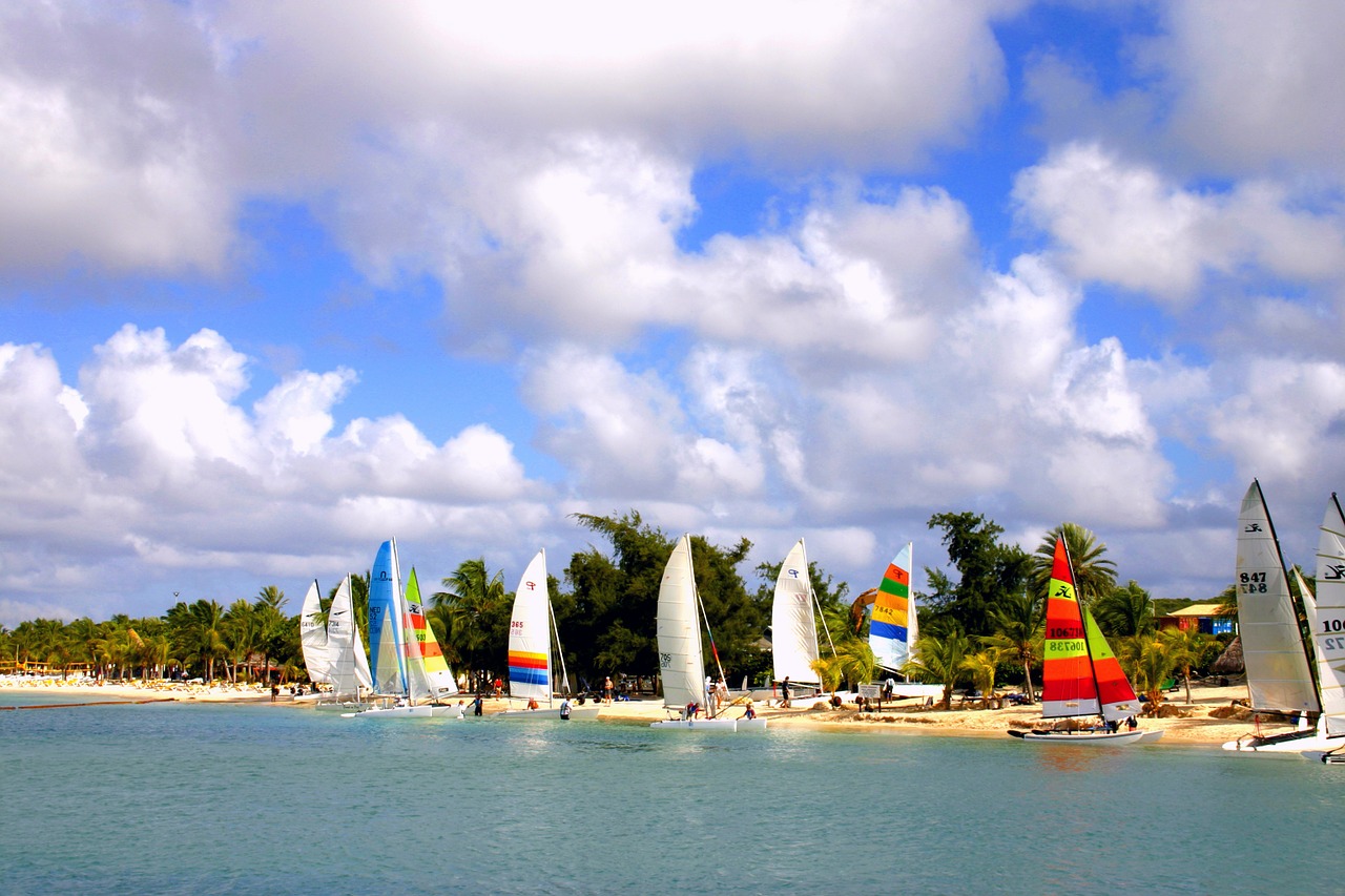 sailing boats boats sea free photo