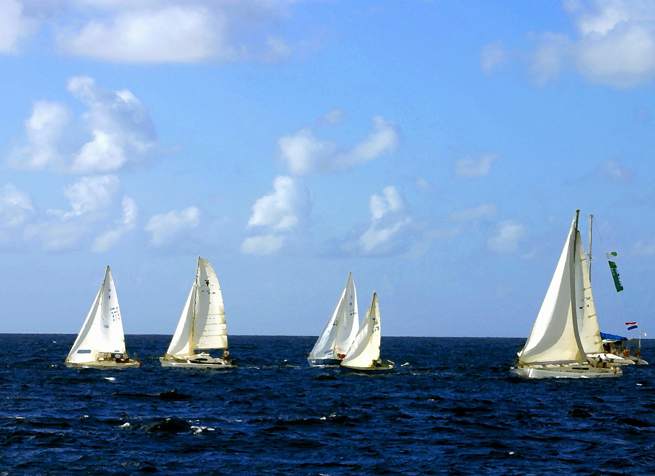 sailing boats sea ocean free photo