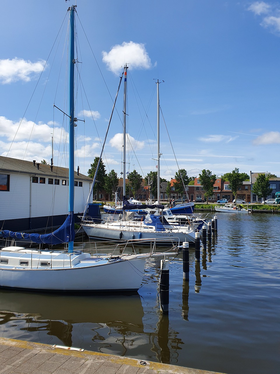 sailing boats  port  summer free photo