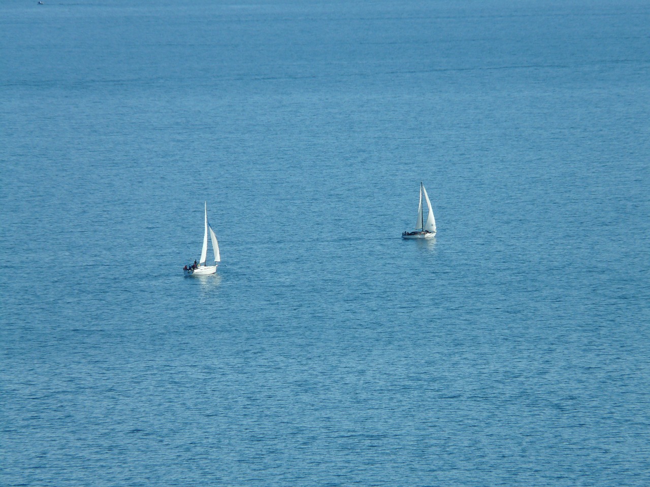 sailing boats sail water free photo