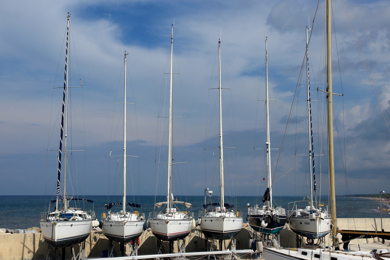 sailing boats ships port free photo