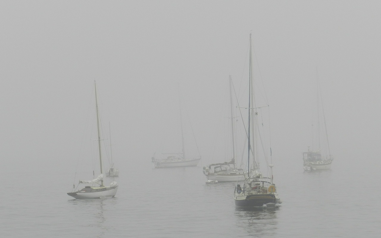 sailing boats boats fog free photo