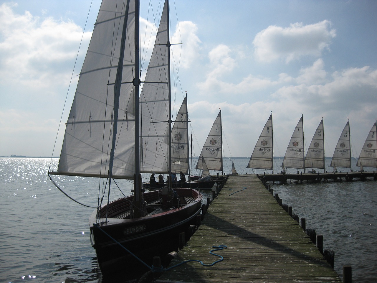 sailing boats sail boot free photo