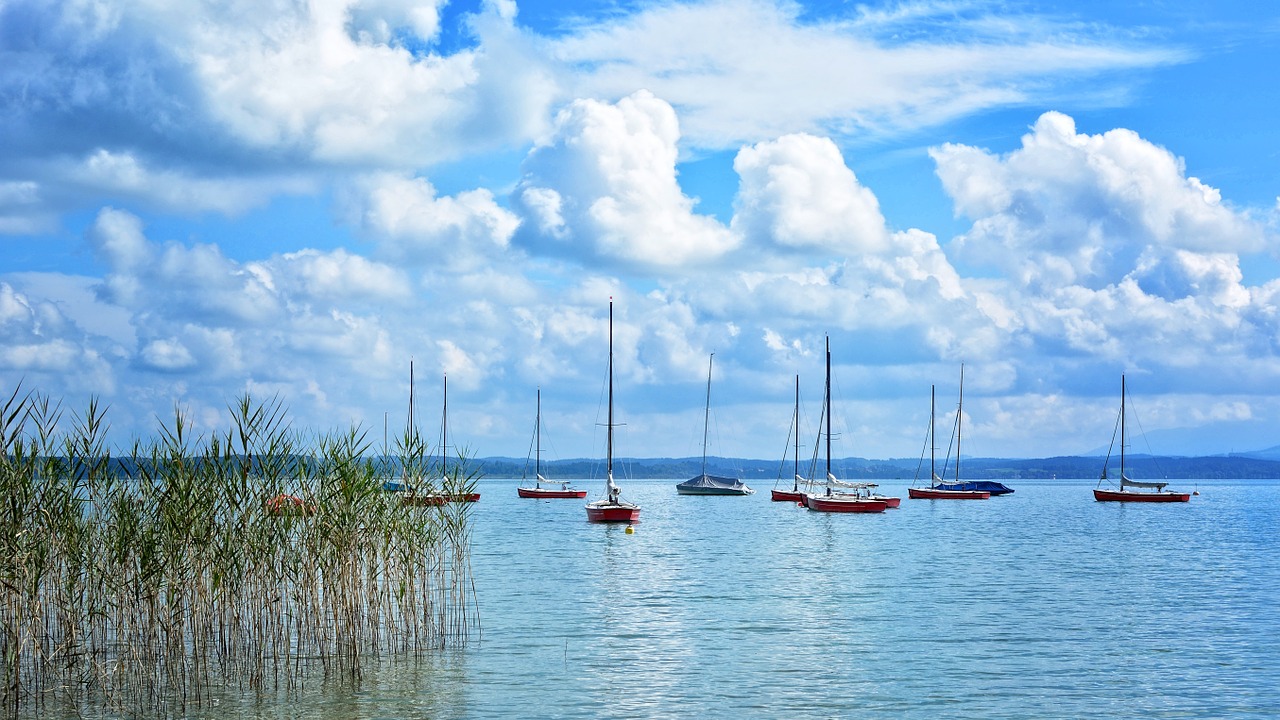 sailing boats port boats free photo