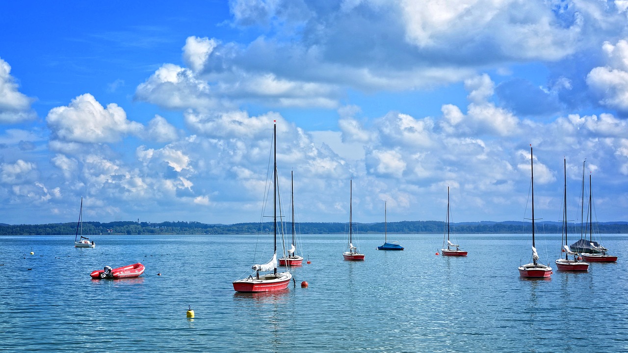 sailing boats port boats free photo