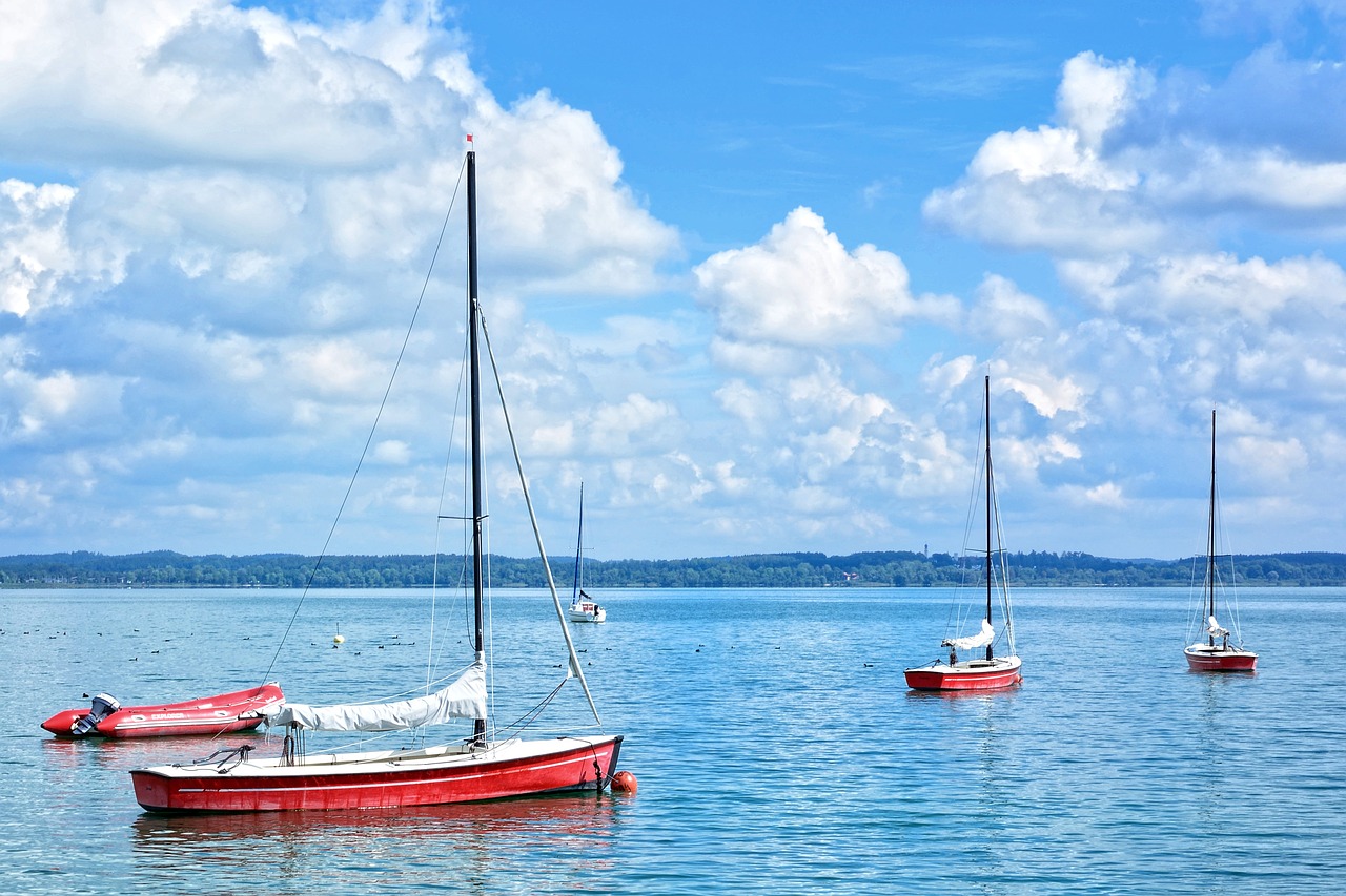 sailing boats port boats free photo