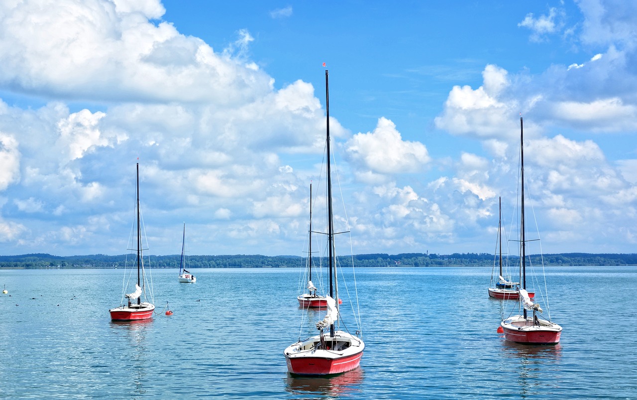 sailing boats port boats free photo