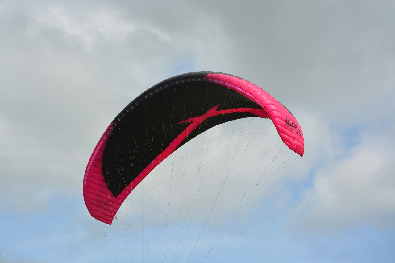 sailing paragliding  wing paragliding  color pink black free photo