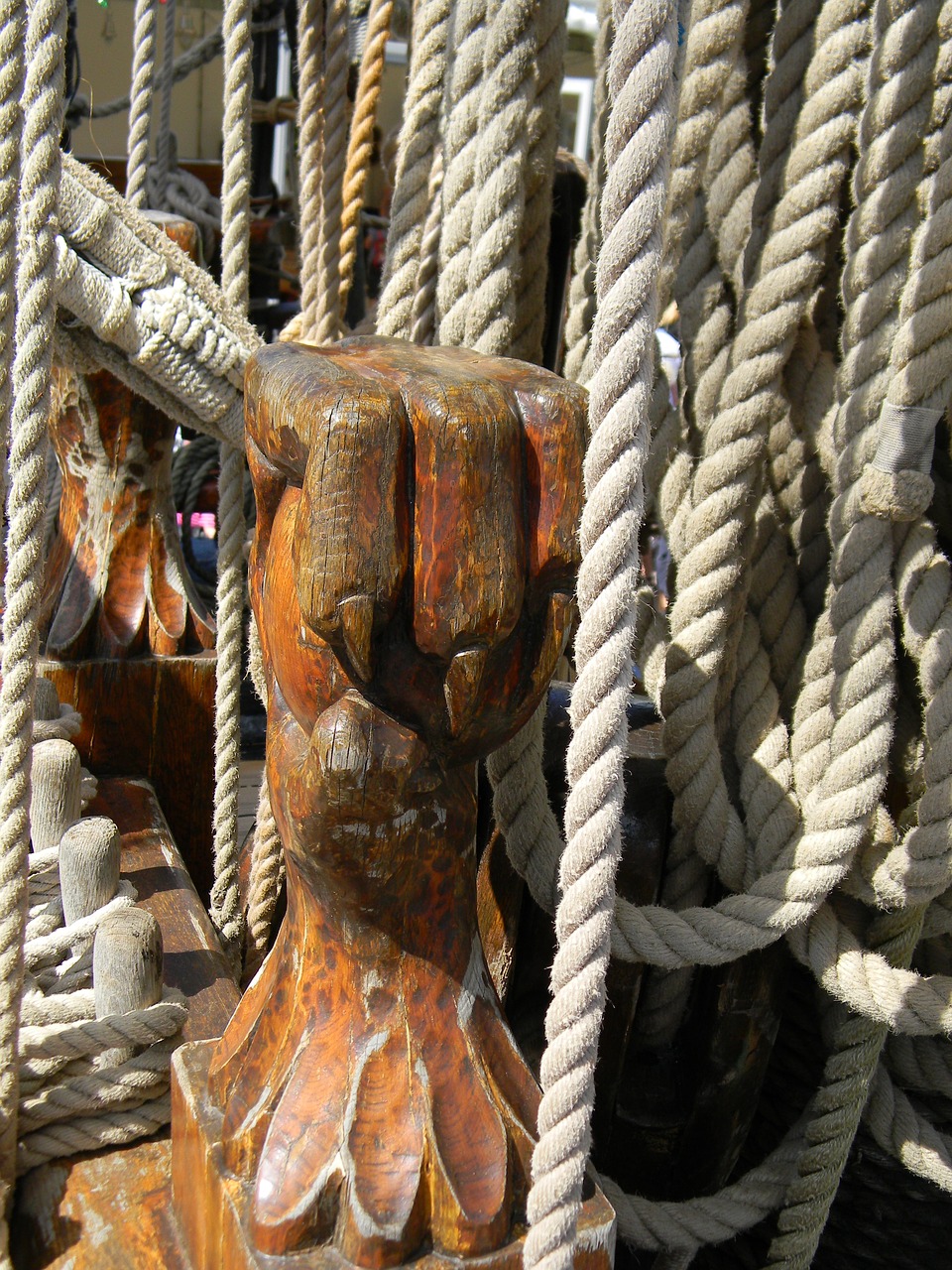 sailing ship rigging rope free photo