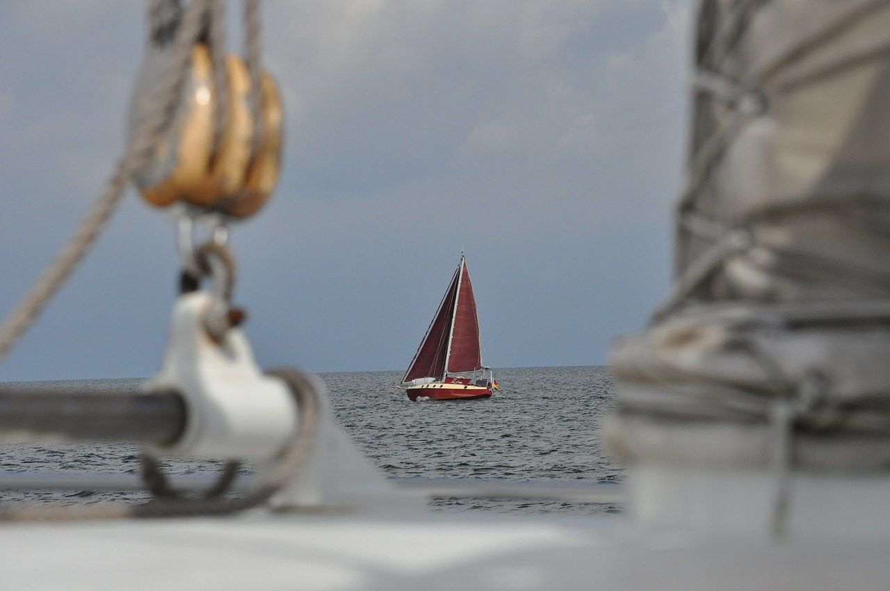 sailing ship cruise sea free photo