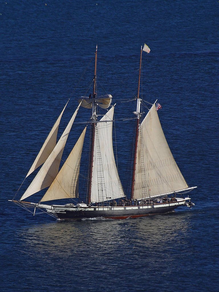 sailing vessel sail sea free photo