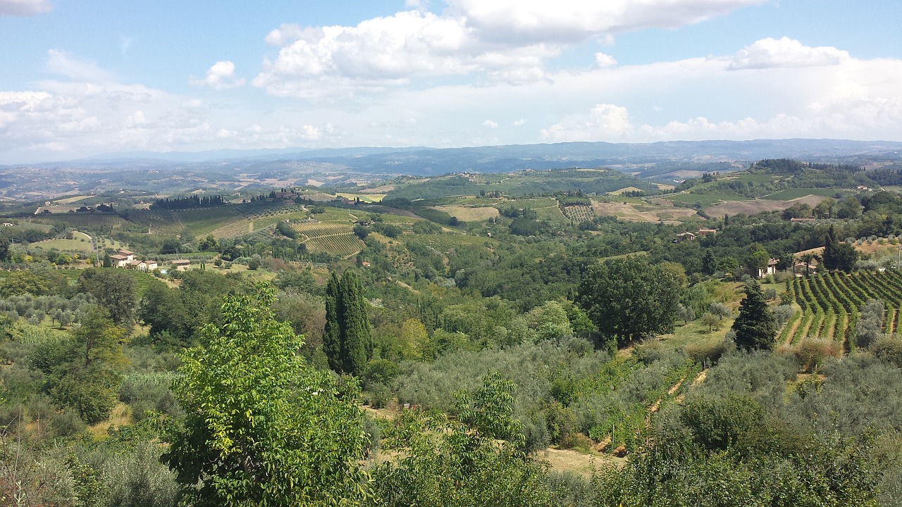 saint gimignano campaign green free photo