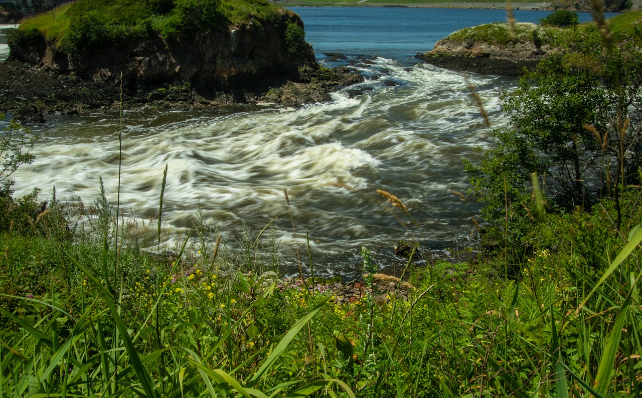 saint john  new brunswick  tourism free photo