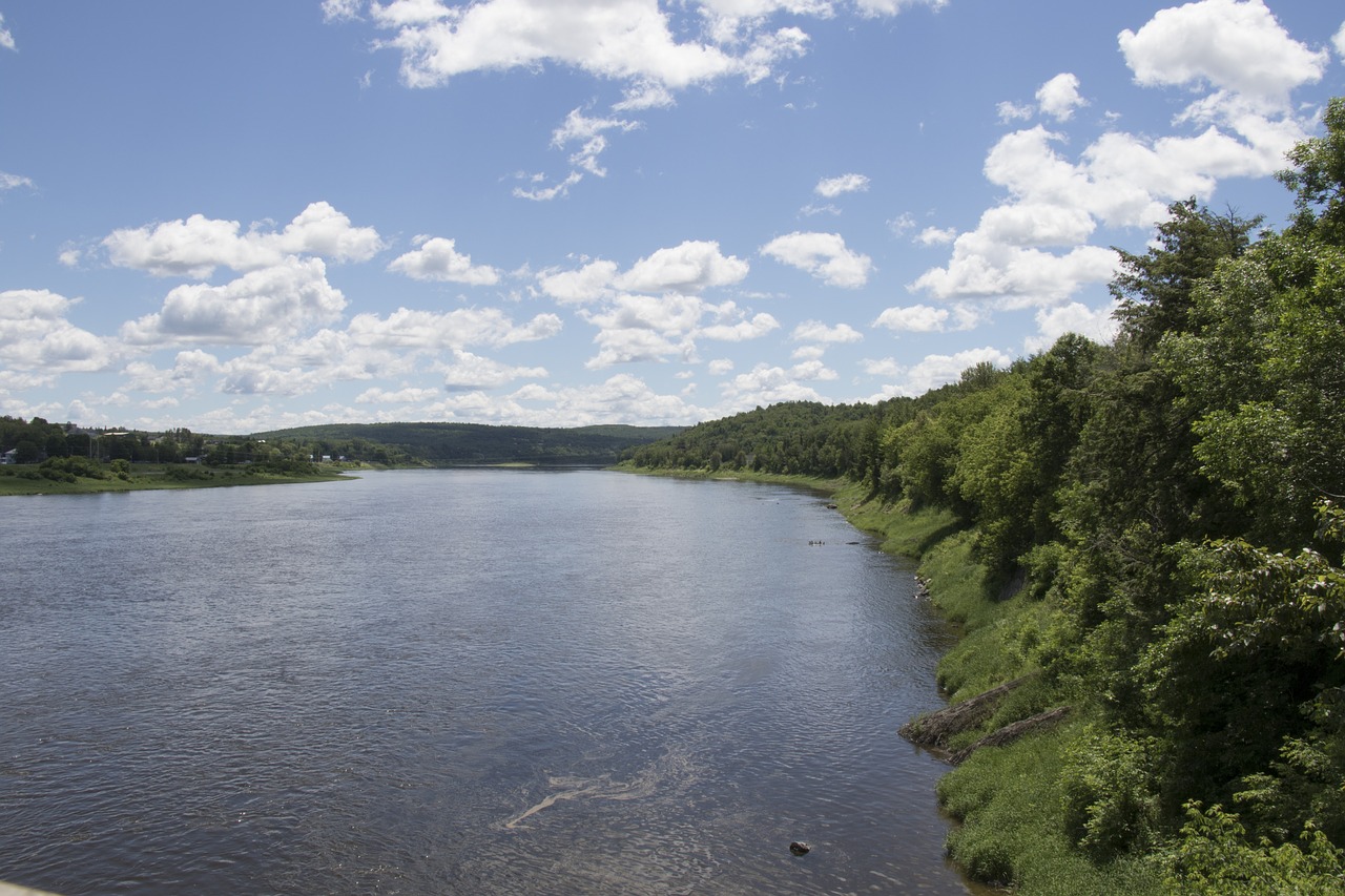 saint john river new brunswick sunny free photo