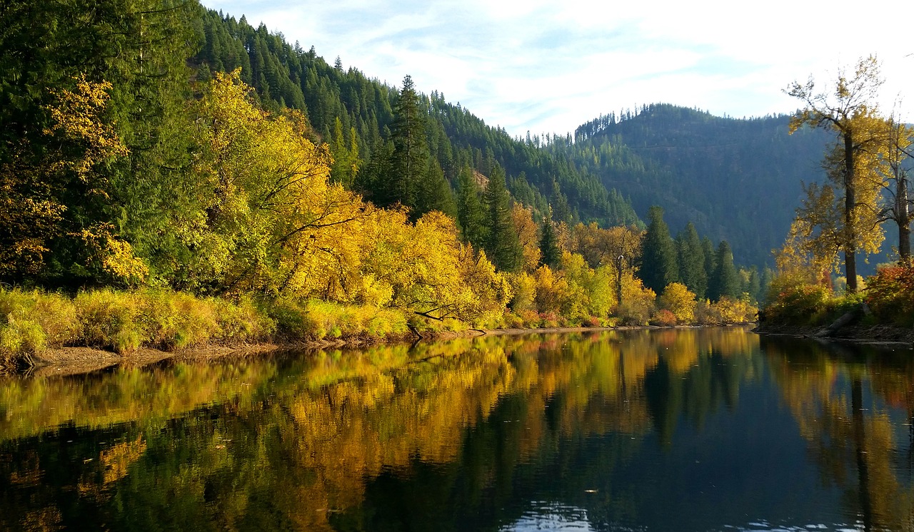 saint maries river north idaho river free photo