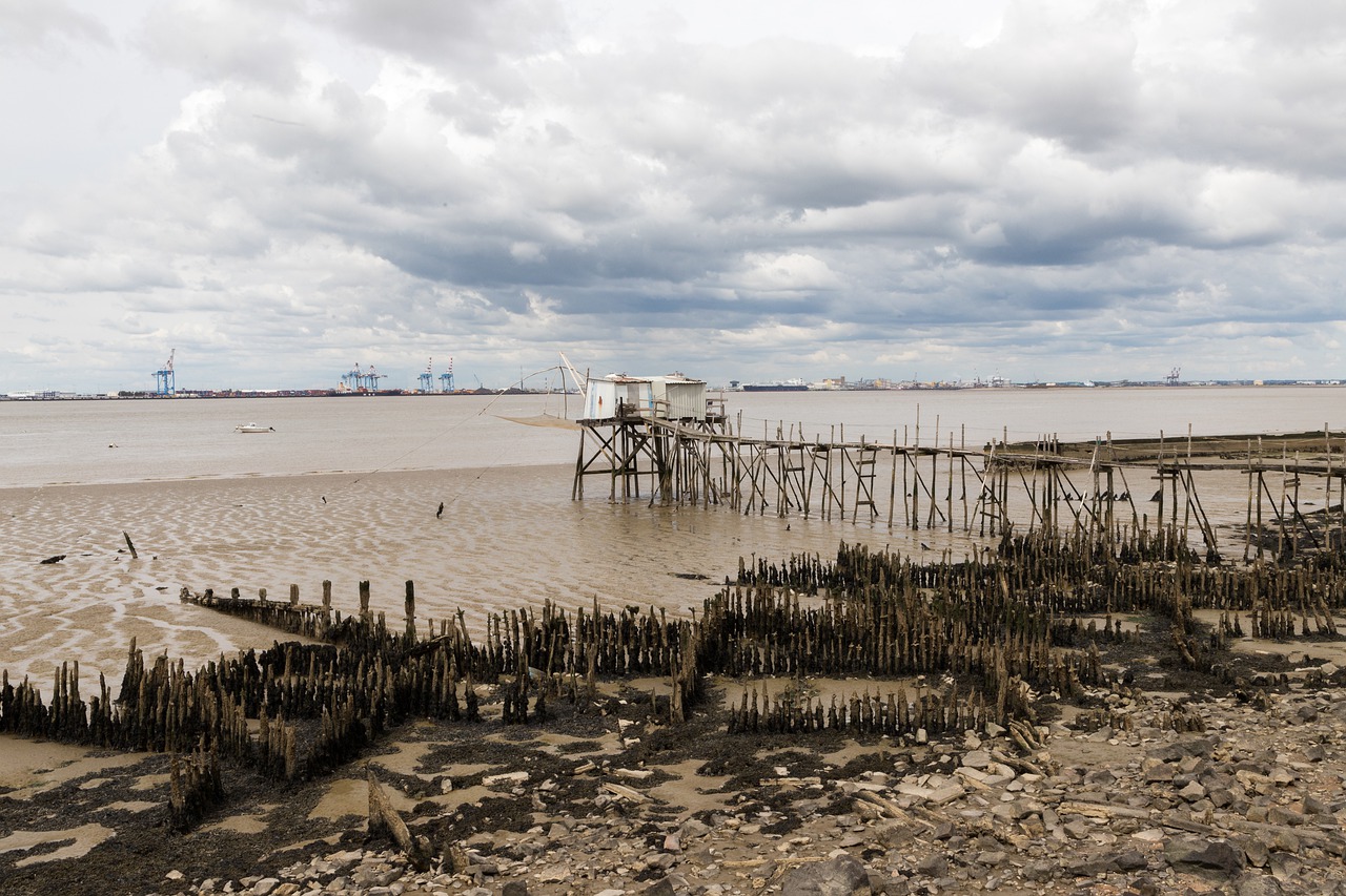 saint-nazaire  fishing  sea bridge free photo