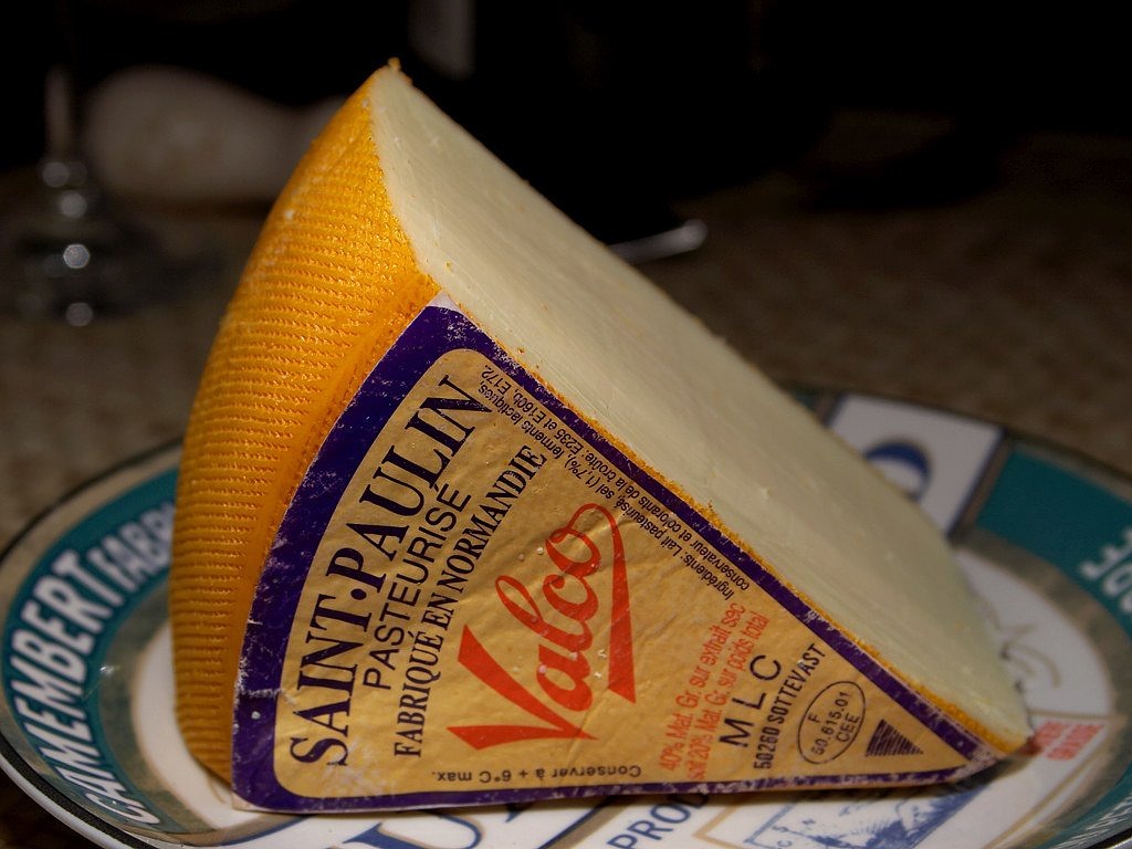 saint paulin cheese milk product food free photo