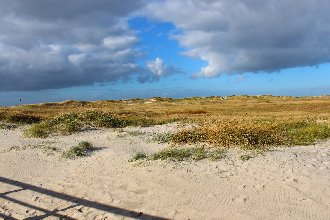 saint peter ording dunes beach free photo