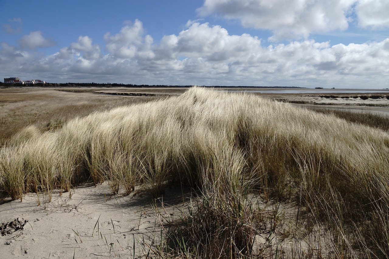 saint peter ording north sea dune free photo