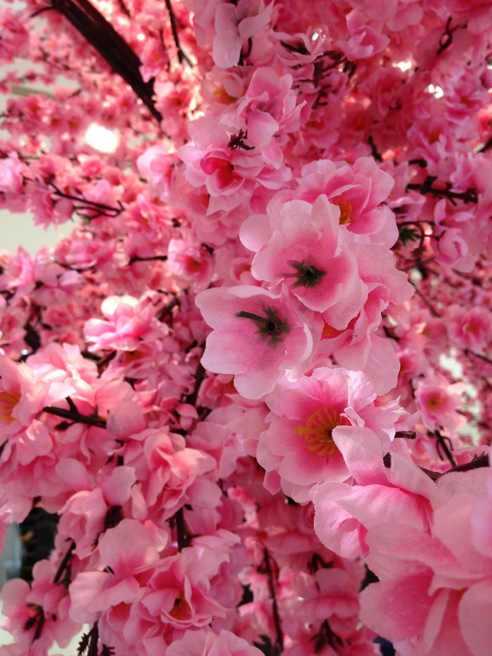 sakura fake flowers free photo