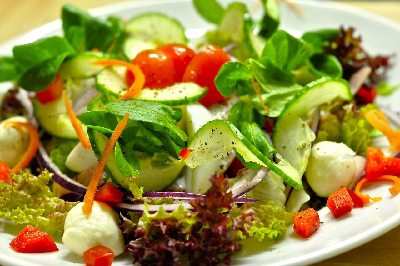 salad salad plate vitamins free photo