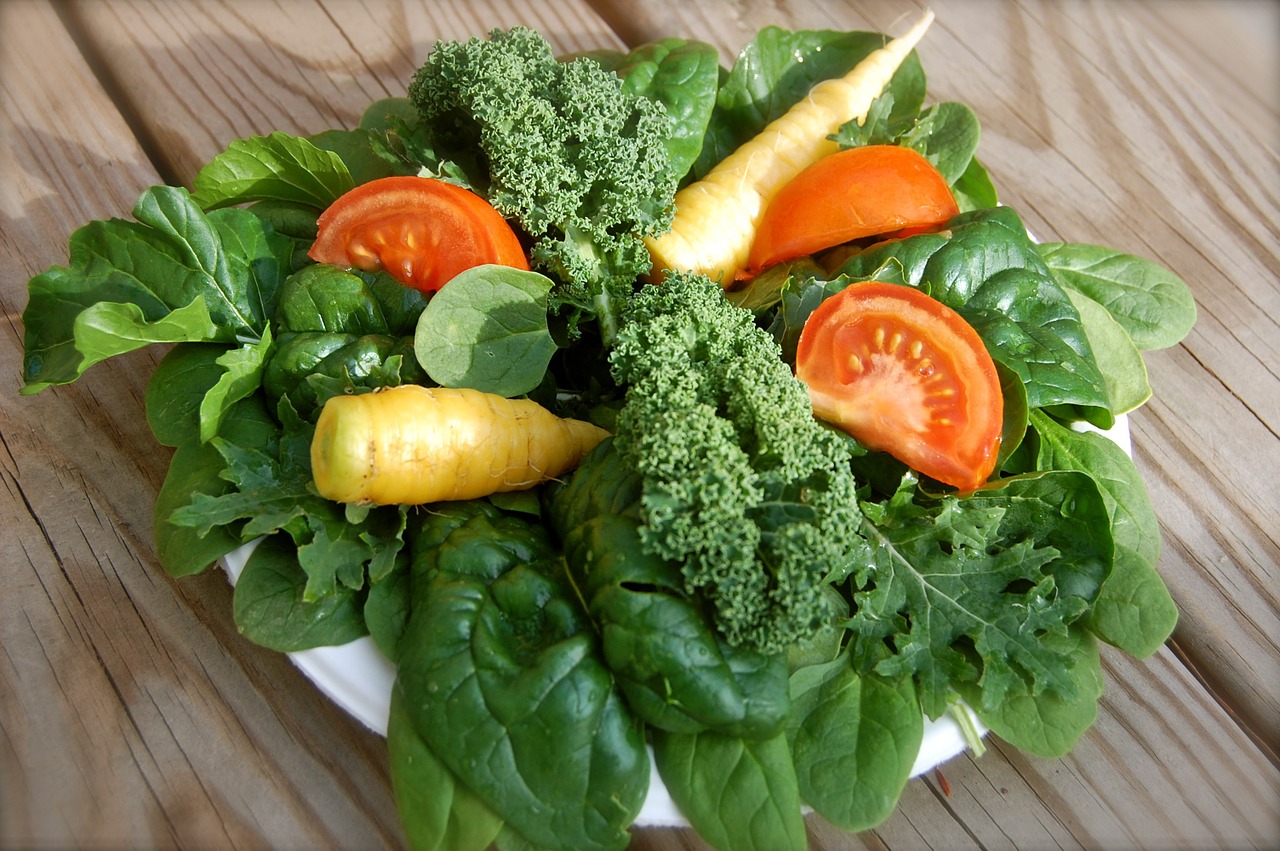 salad greens healthy free photo