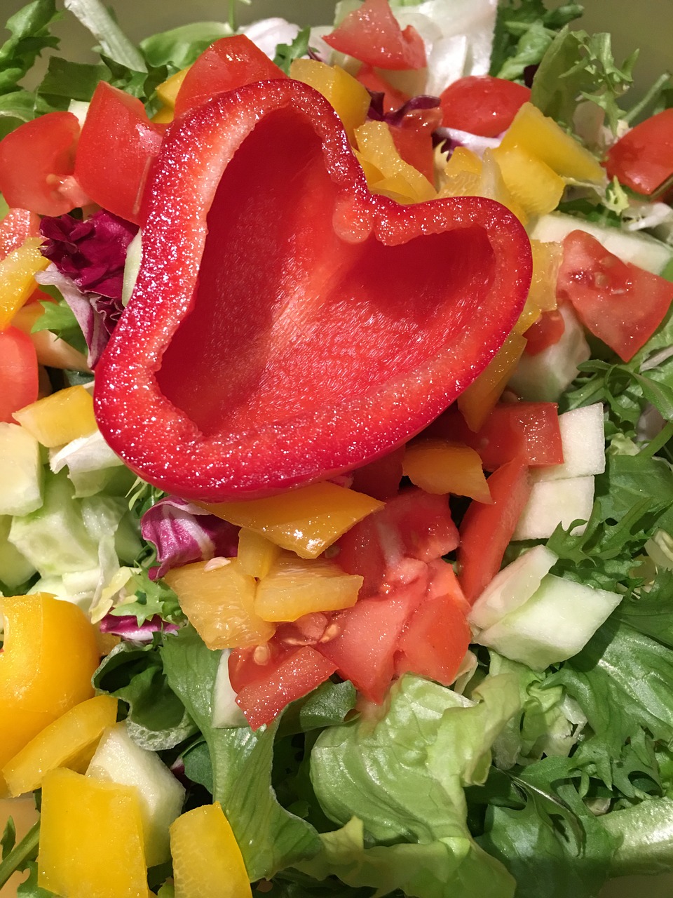 salad dinner tomatoes free photo