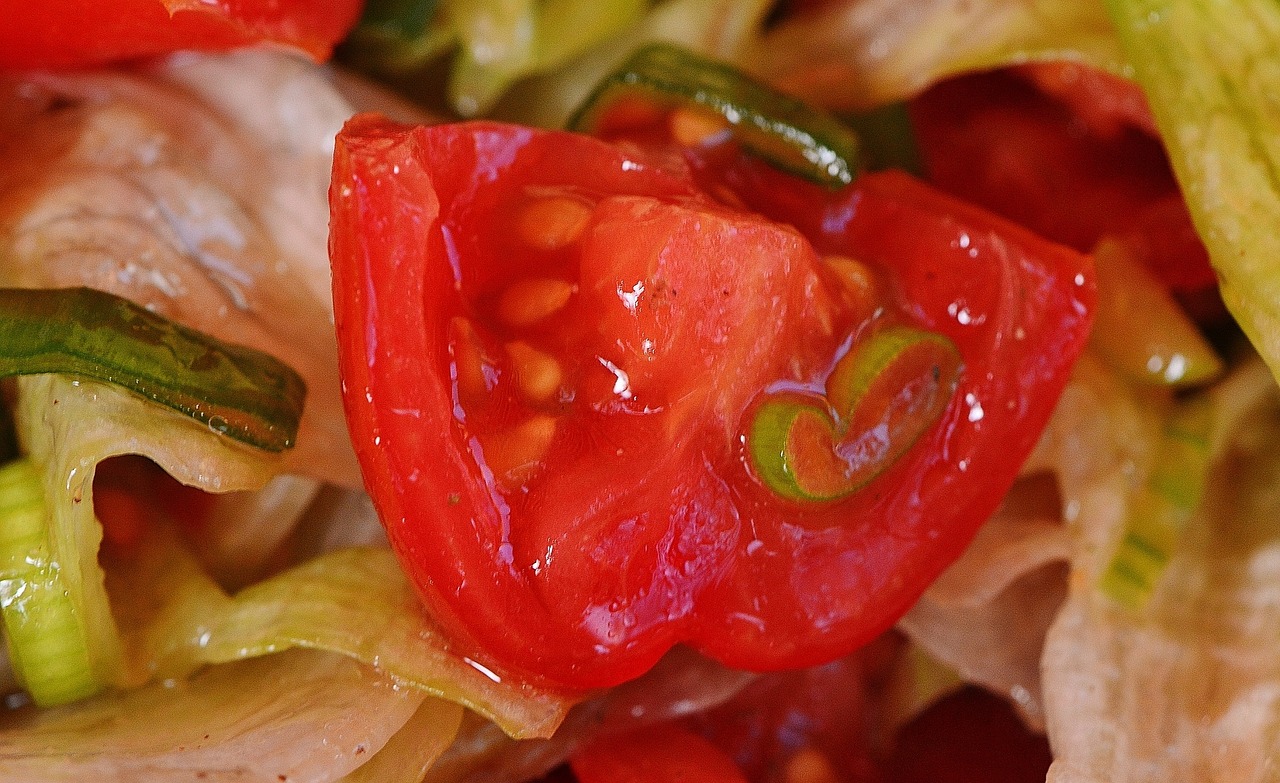 salad tomatoes spring onions free photo