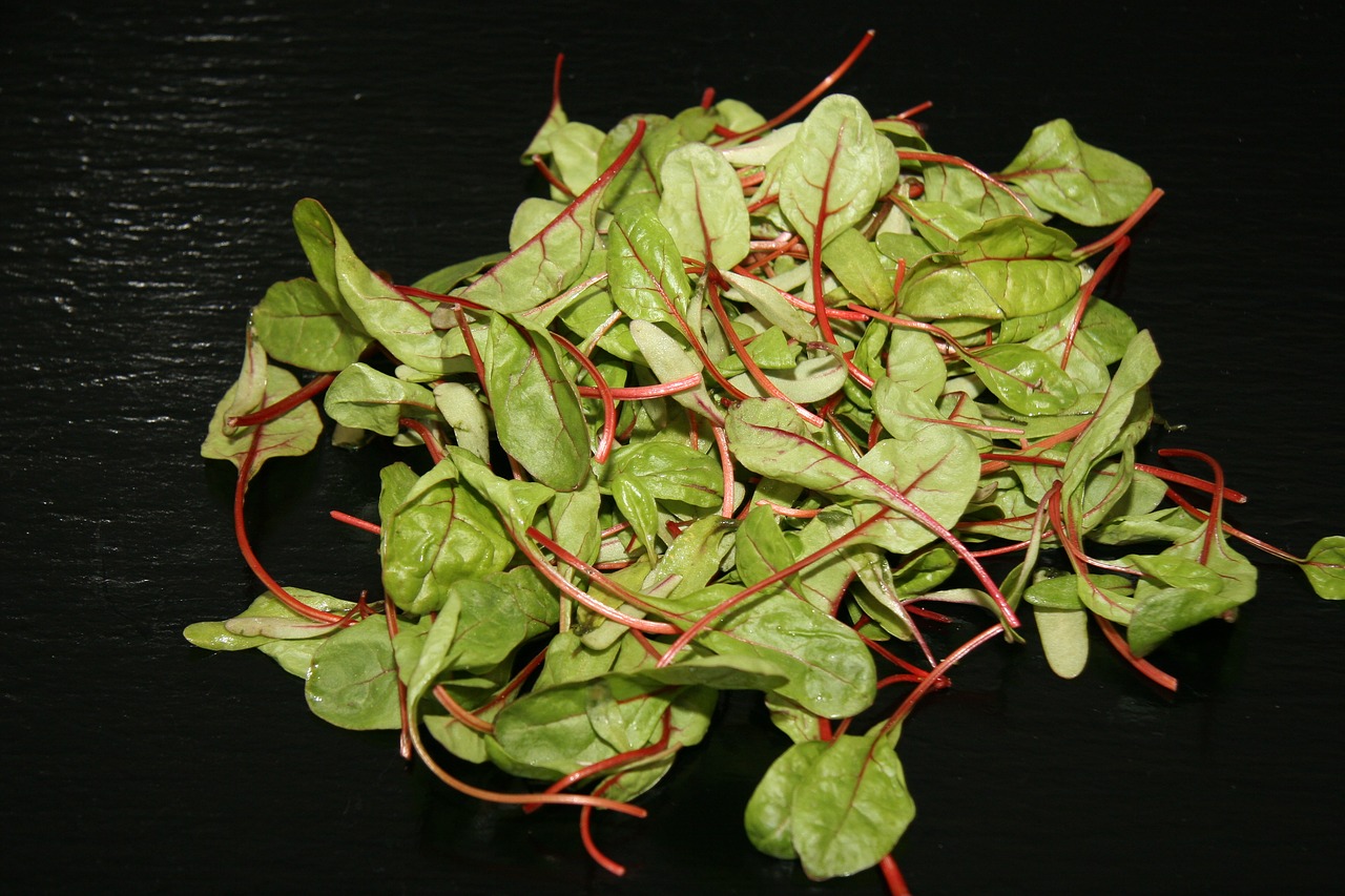 salad garnish healthy free photo