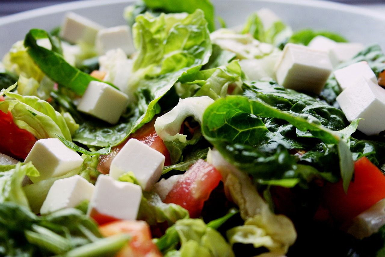 salad cheese tomato free photo