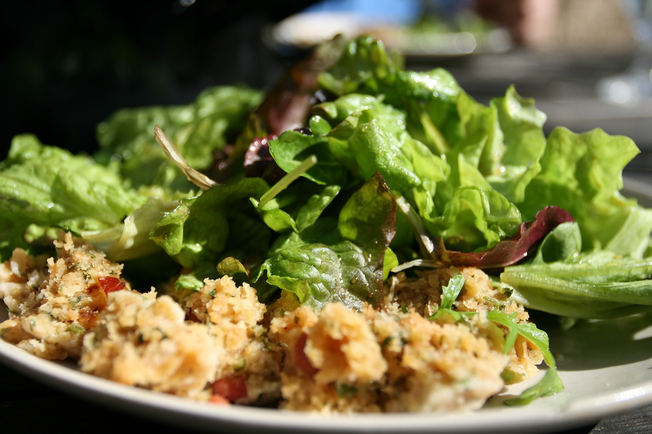 salad salad plate eat free photo
