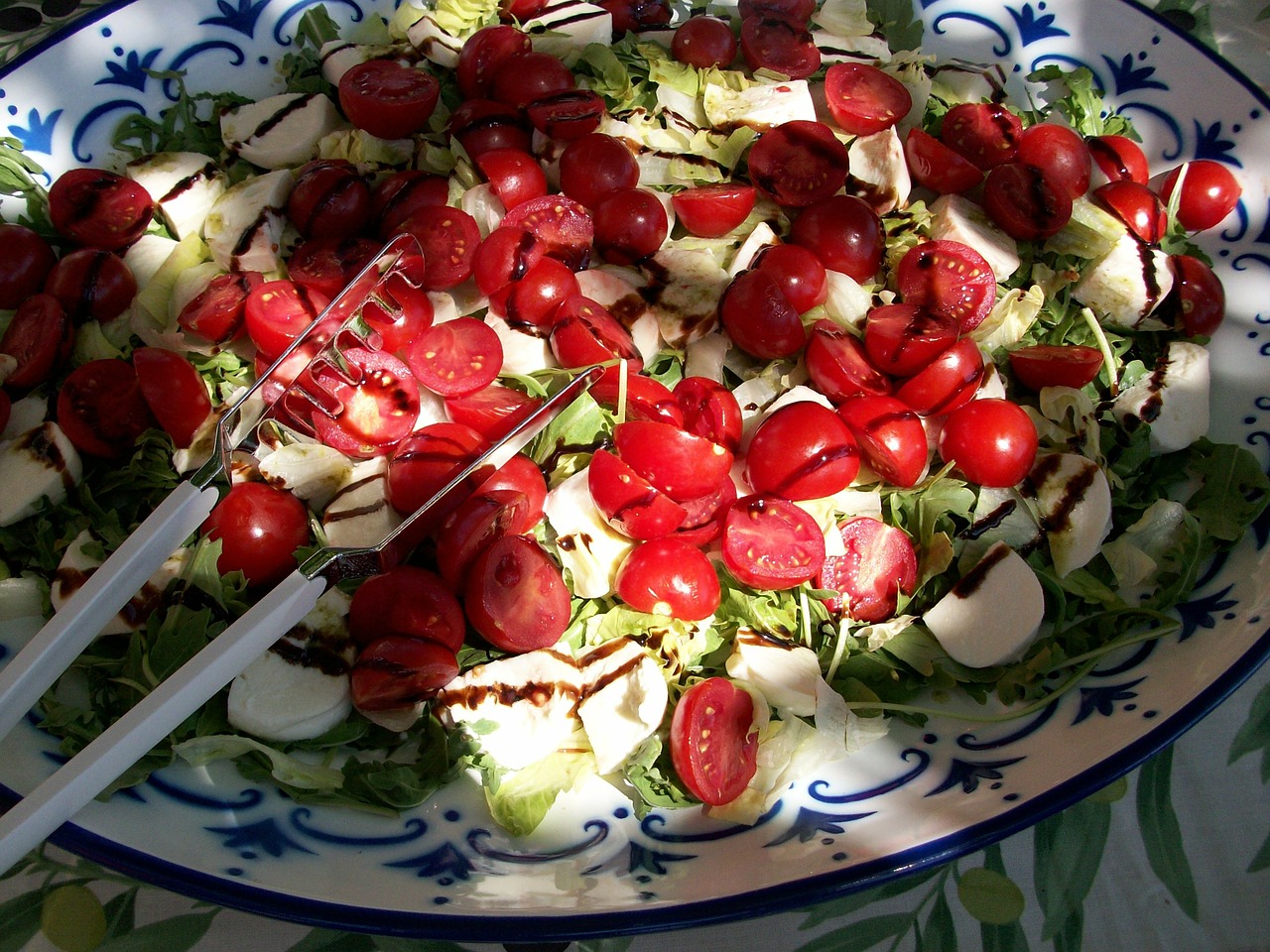 salad tomato mozzarella free photo