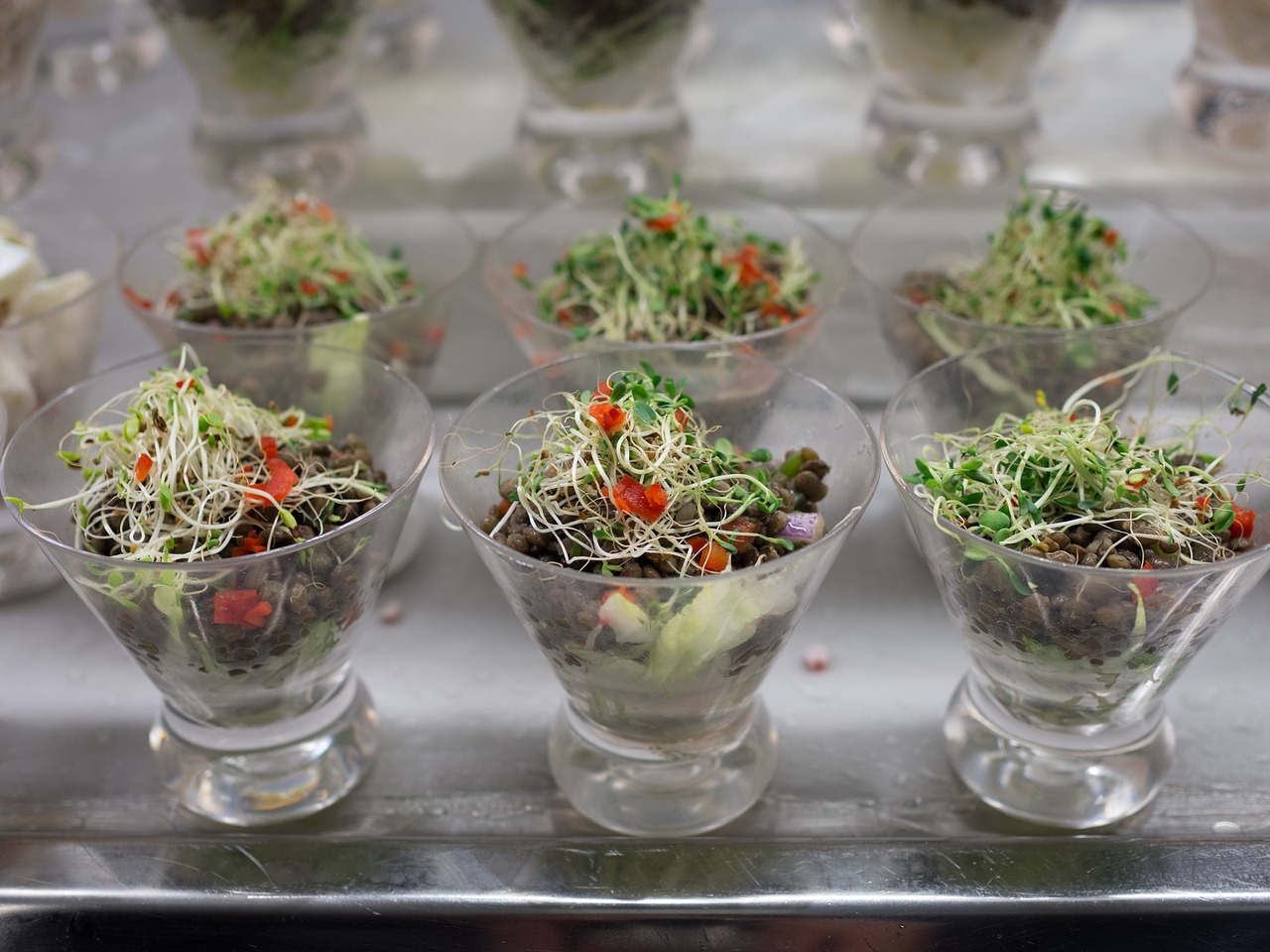 salad  sprouts  healthy free photo