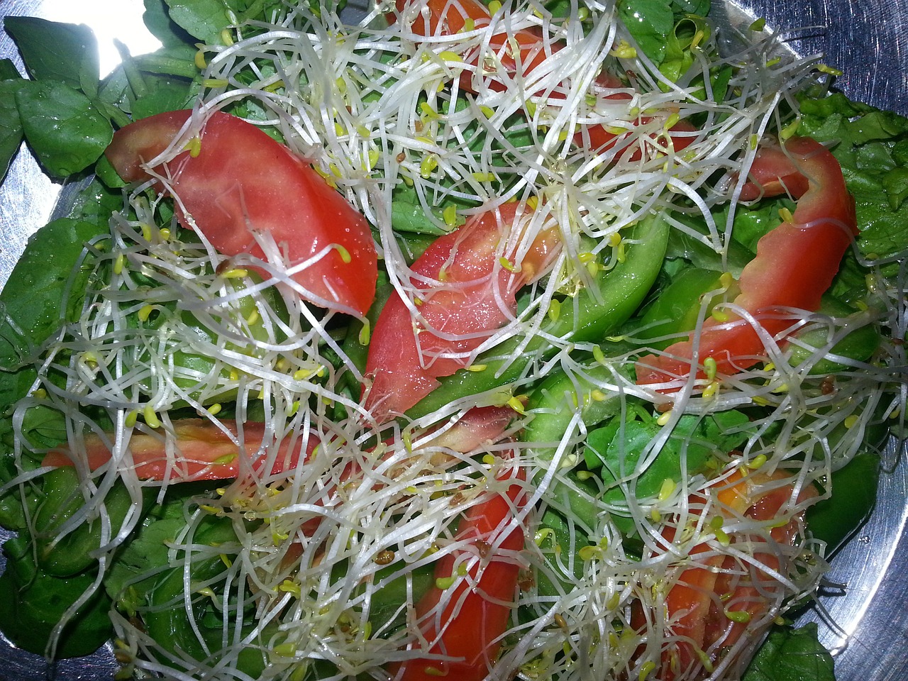 salad alfalfa tomato free photo
