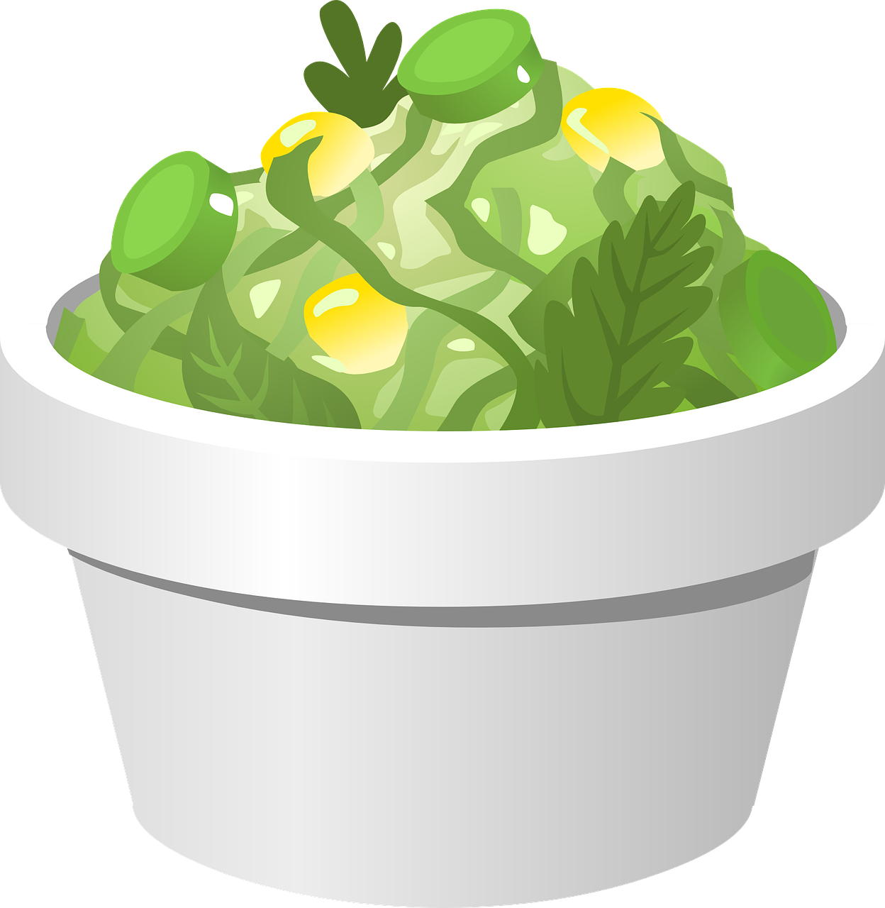 salad dish bowl free photo