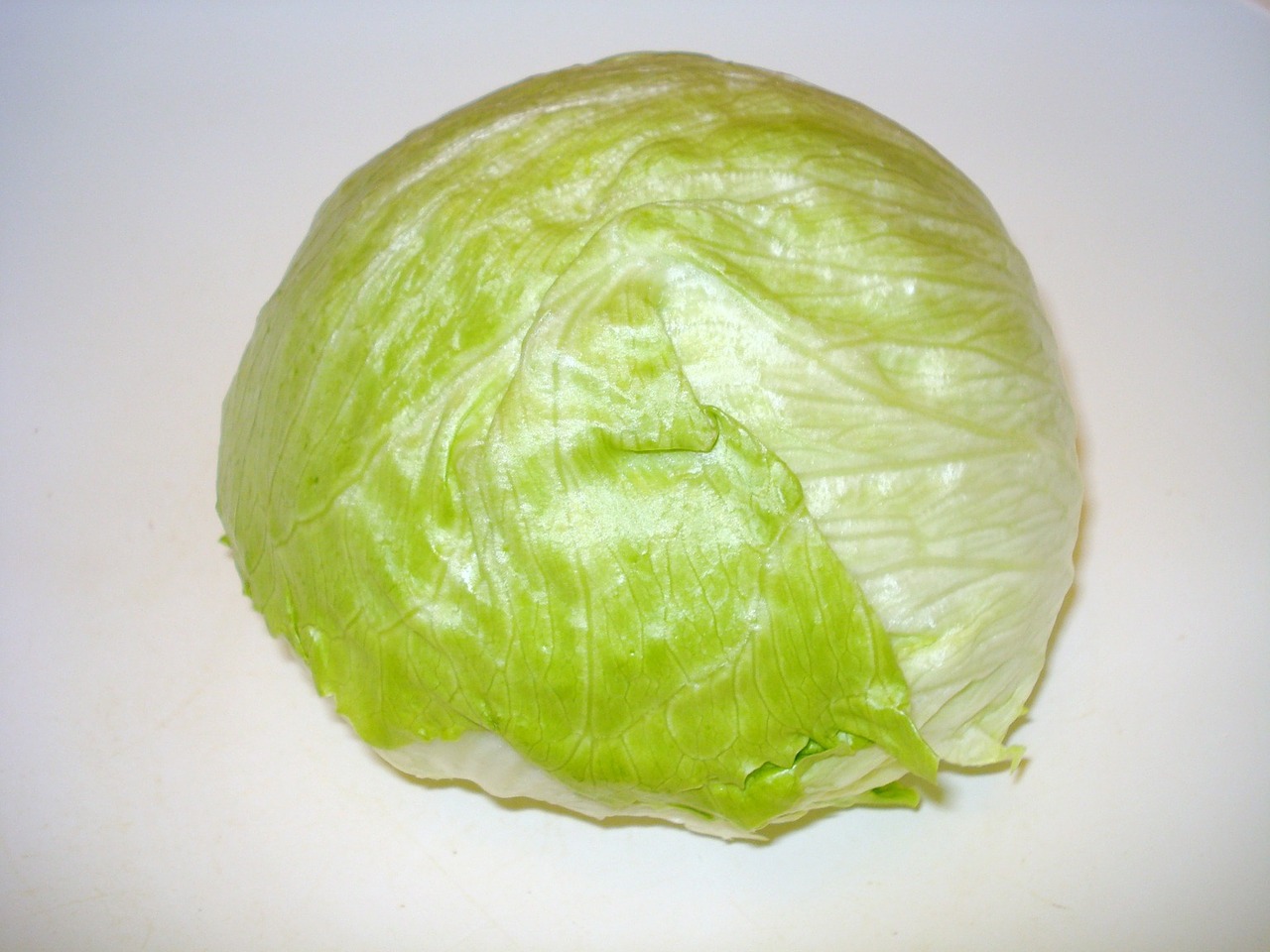 salad iceberg lettuce head of lettuce free photo
